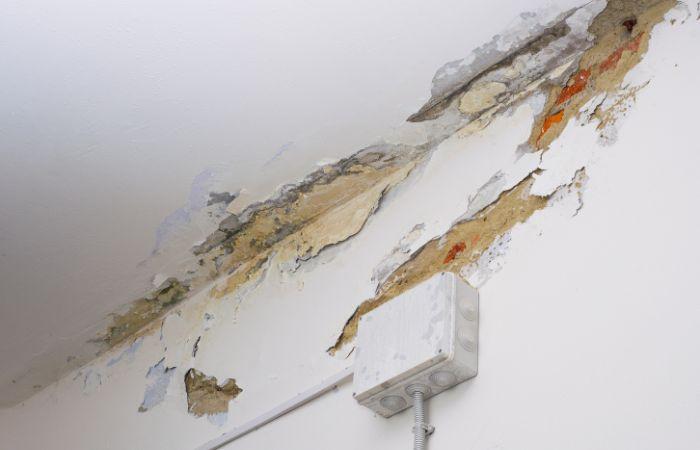 vzf-woningschade